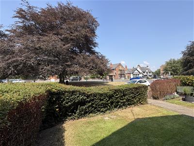 Picture 15